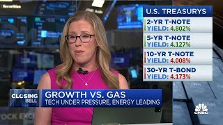 Every piece of economic data will be influential, says NB Private Wealth's Shannon Saccocia screenshot 3