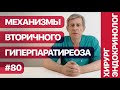 Механизмы вторичного гиперпаратиреоза