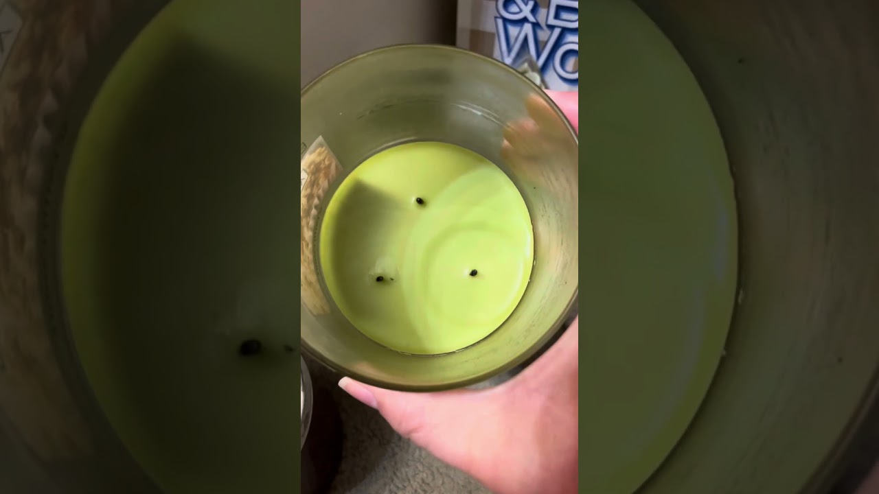 Candle and wax empties July 2025, Bath and Body Works, Yankee Candle, Dollar Tree, Walmart 