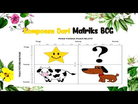 Video: Apa saja komponen matriks BCG?