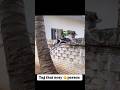 that one nosy person #viralvideos #funnyvideo