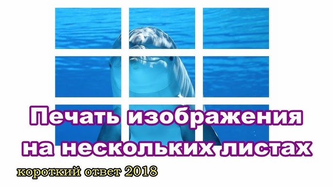 Как легко распечатать большой плакат из листов А4 | ТАЙНИК | Дзен