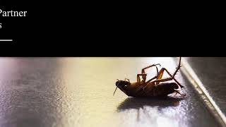 Pest Control Service | Ashburn, VA - PMSI