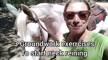 3 Groundwork exercises for learning to neck rein - Indirect Pressure and direct pressure