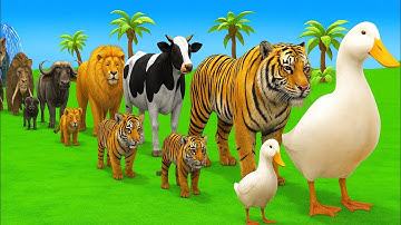 Long Slide Game With Cow Elephant Gorilla Hippopotamus Tiger - 3d Animal Game - Funny 3d Animals
