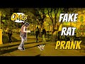 Scaring Strangers with Fake Rat 3