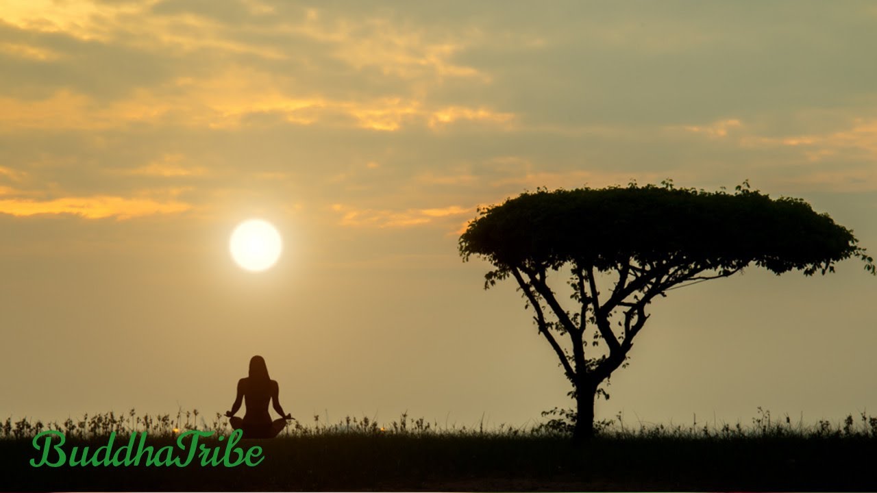 Relaxing Songs: Music to Meditate, Relaxing Shamanic Music to Eliminate Stress ☆BT13 musica relajante para dormir