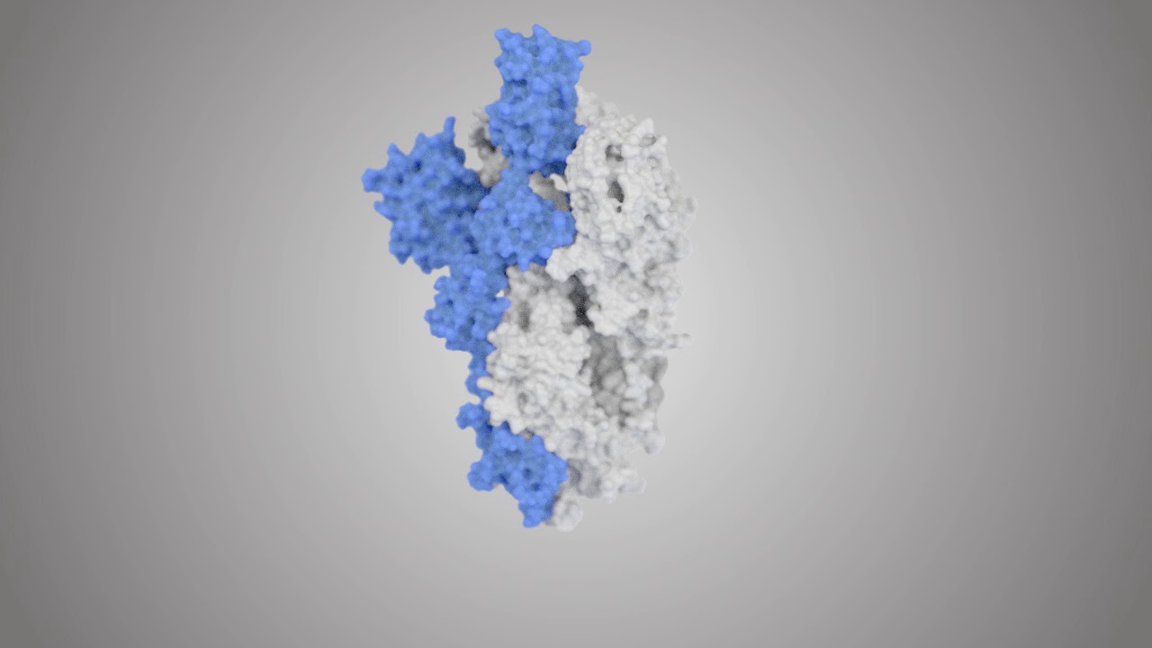 フリン様へ。 SARS-CoV-2の起源：後編 — Benhur Lee Lab