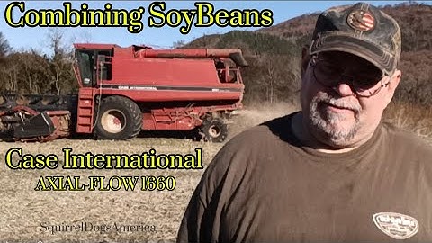 Combining SoyBeans with a Case-International and Loading the Grain Truck #farming #farmer 