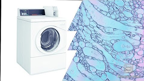 Speed Queen commercial washing machine | preventative maintenance