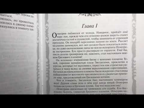 Коты-воители «Огонь и лёд» 1 часть. Book👍🏼еды.