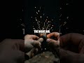 Beneath the Canopy A Night Survival Challenge
