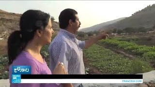 كنوز زراعية منسية في فلسطين