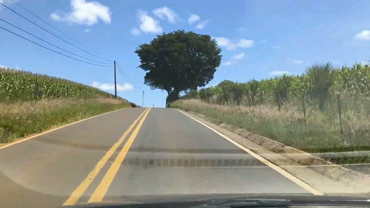 28/2/2026- PARDINHO/SP 280