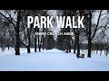 Magical Winter Forest Walk 🇺🇦 Heavy Snow & Nature Sounds | No Talking
