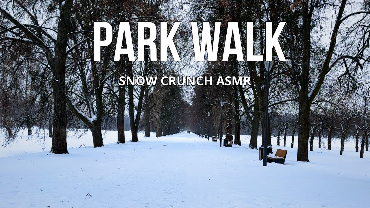 Magical Winter Forest Walk 🇺🇦 Heavy Snow & Nature Sounds | No Talking