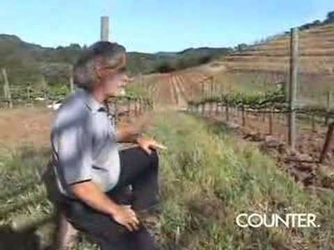 Mike Benziger of Benziger Winery Discusses Organic...