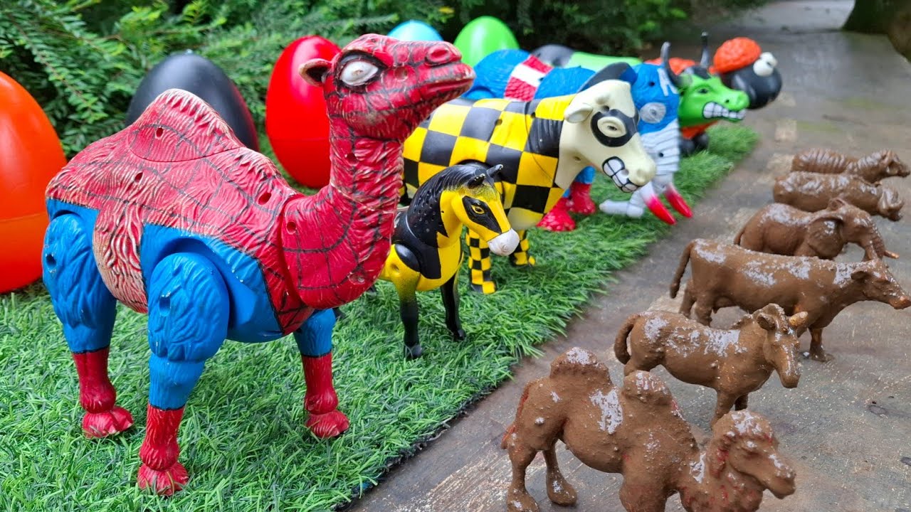 Sapi, Gajah, Kerbau, Domba, Kuda, Unta Melahirkan |  Sapi Mandi Lumpur