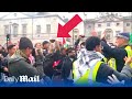 Shocking moment Pro-Palestine protestor hits police officer with soda can in London