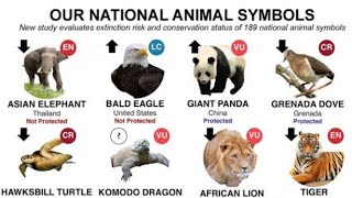 "Meet the National Animals of 15 Countries – Symbols of Pride and Heritage!"