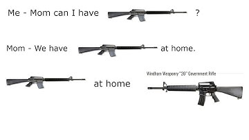 Cover Image for M16 at Home (Windham Weaponry 20 Inch Government Review)