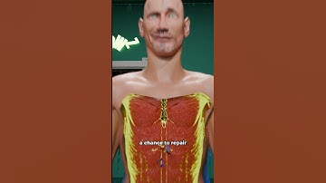 How Rest Days Build Muscles