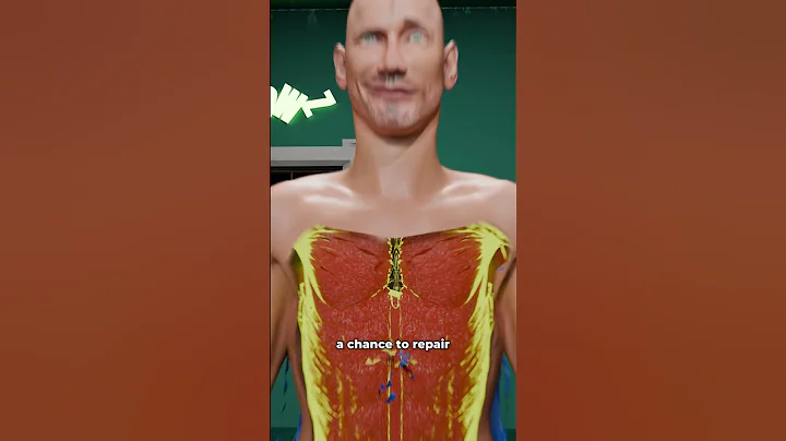 How Rest Days Build Muscles