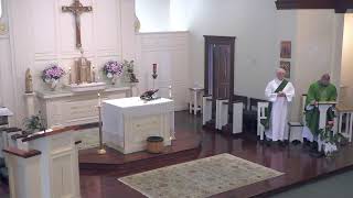 July 12, 2026 - Fifteenth Sunday in Ordinary Time