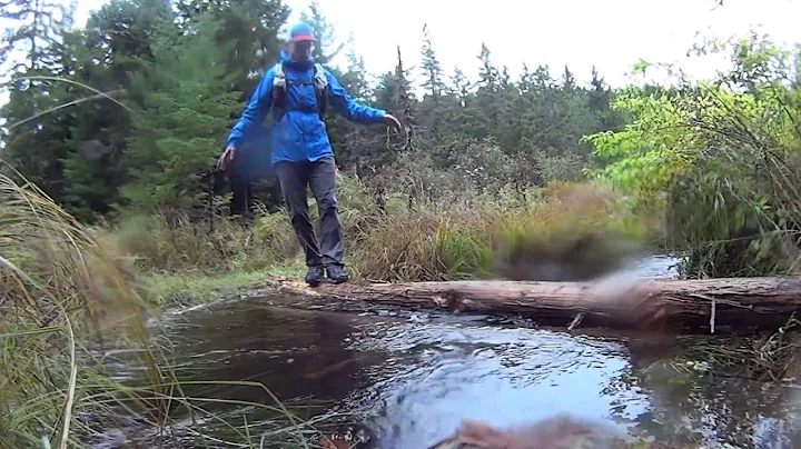 Randonnée au parc national de Fundy