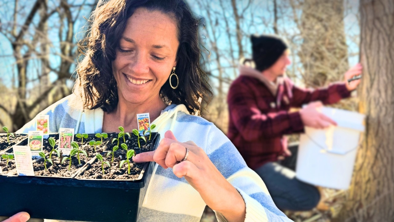 Our Plan to Grow a Year of Food STARTS NOW (simple strategies)