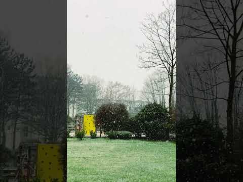 موسیقی کارتن بچه های کوه آلپ 