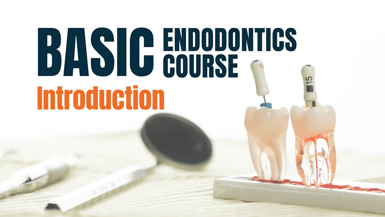 🎓 Welcome to Basic Endodontics! What You’ll Learn in This Course - YouTube