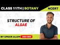 Algae lect 02