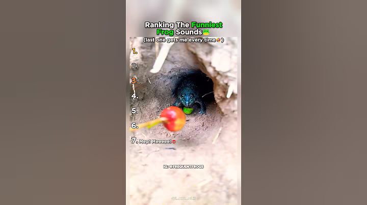 Top 7 Funniest Frog Noises Ranked!