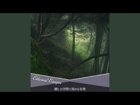 Mystical Veil of Tranquility