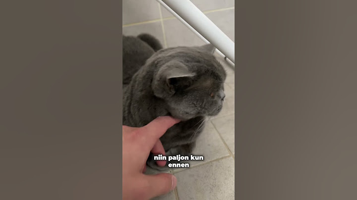 Loki