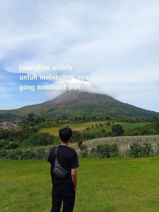 Story WA 'TIARA'  #story #short #storymusik