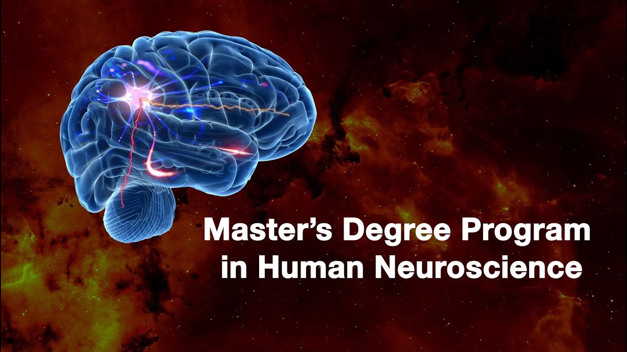 Master's Degree Programme in Human Neuroscience at the University of Turku  - YouTube