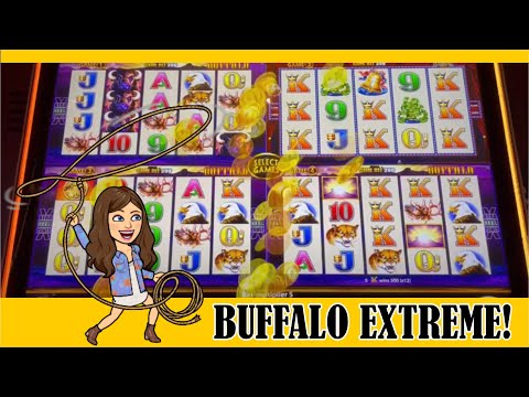 Max Bet Buffalo Extreme!  Fun session!  Aria Las Vegas - BUFFALOOOOOO!