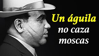 ¡Estas palabras de AL CAPONE dan la piel de gallina! ¡Citas, aforismos y pensamientos de Al Capone!