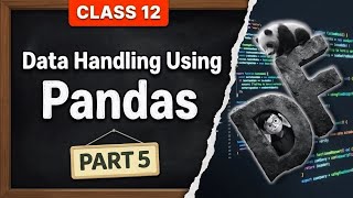 DataFrame Introduction and Creation in Pandas | Class 12 Informatics Practices | Unit 1 (Part 5)