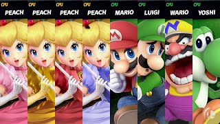 Super Smash Bros. Ultimate - SM64 DS Vs. The Peaches 2