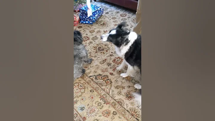 Stocking fun 2022