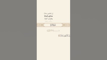 سورة النبأ#قرآن #قرآن_كريم #قران #قران_كريم #حالات #اكسبلور #رمضانمبارك #دويتو #لايك #تيك_تو #فلسطين