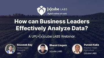 How can business leaders in agri-input companies effectively analyze data?