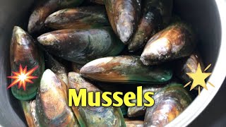 Some tips about mussels/Tahong paano pananatilihing sariwa at malinis