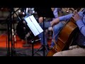 Schubert serenade stndchen 4k  pavle savi  makris chamber orchestra arranged by p gosta