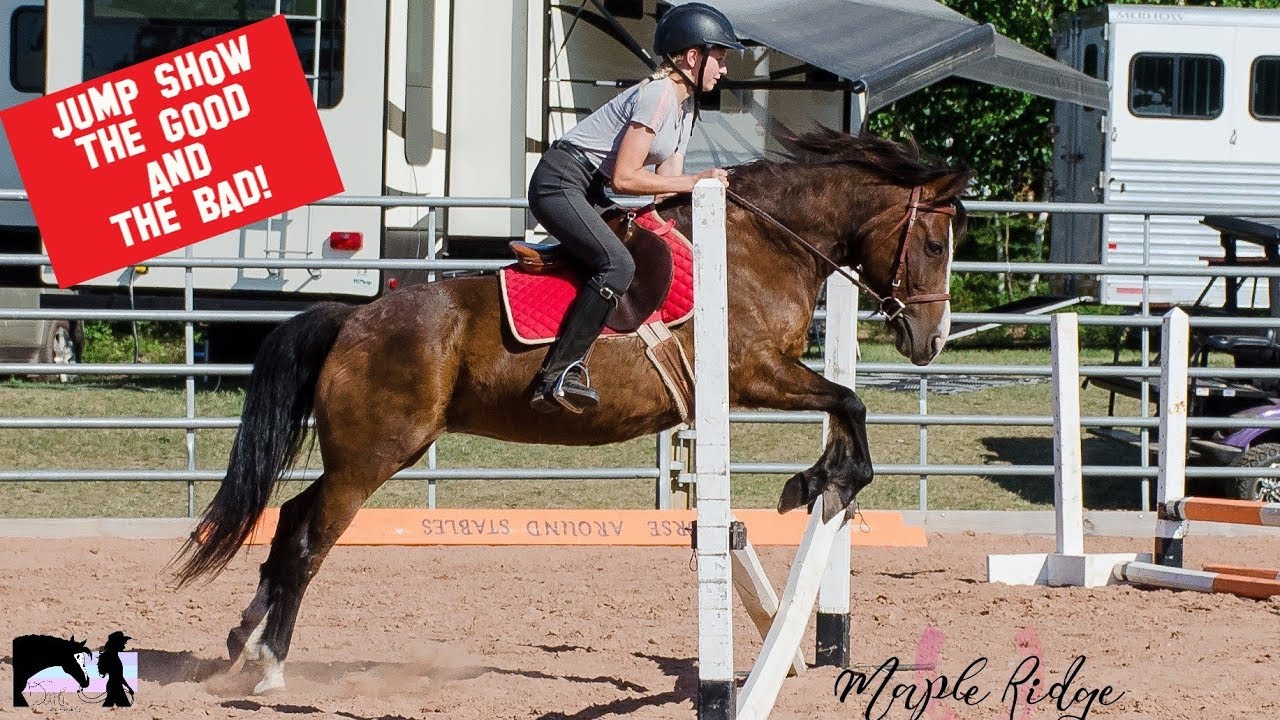 Horse Jumping Fails and Wins! YouTube