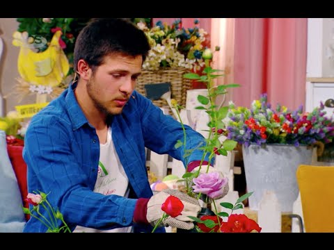 ”ვარდის სახლის” საგაზაფხულო გამოფენა-გაყიდვა