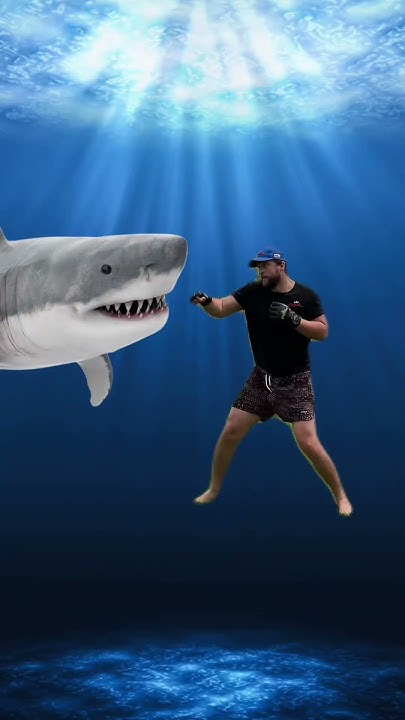 Shark attack survival - YouTube